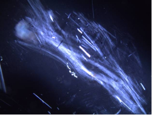 206d2ae1beccf1524c112b431d46fdb3_092cd608-17d2-428e-9fda-b98a8b7fe6a8.png 206d2ae1beccf1524c112b431d46fdb3_092cd608-17d2-428e-9fda-b98a8b7fe6a8.png